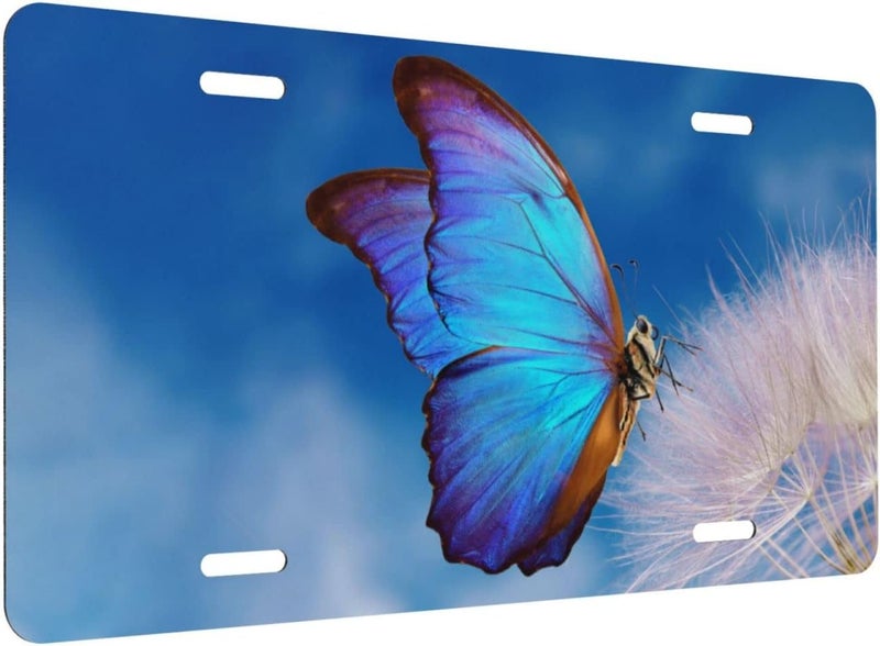 Smoaffly License Plate,Blue Butterfly Flower Decorative Car Front,Metal Plate,Vanity Tag,Aluminum Noverlty License Plate for Men/Women/Boy/Girls Car 6×12 Inch - Image 2